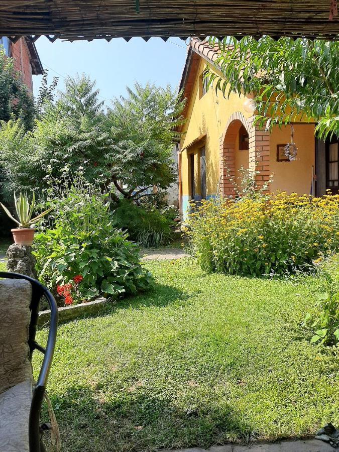 Garickina Kuca Lejlighed Pirot Eksteriør billede